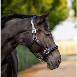 HB Showtime Halter Glitty