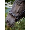 HB Showtime Halter Glitty