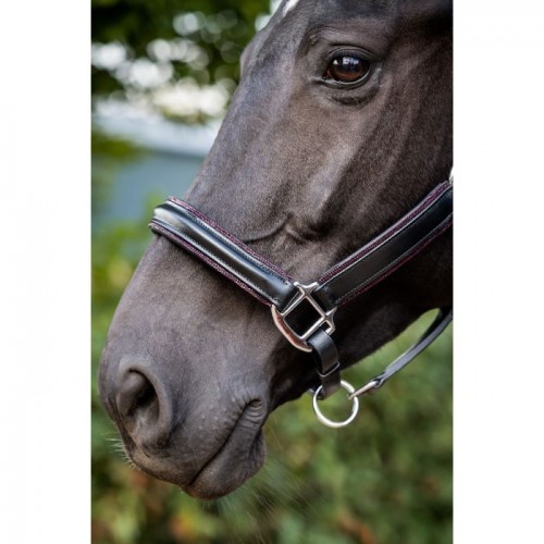 HB Showtime Halter Glitty