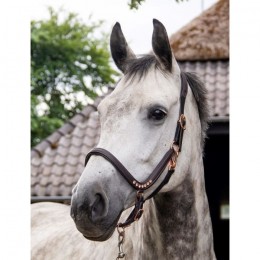 HB Showtime Anatomic Rose Gold Halter