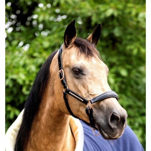 HB Showtime Leather Halter Rose Gold