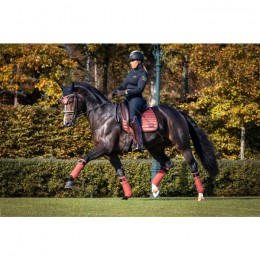 Equito Dressuur Saddlepad Cinnamon Spice