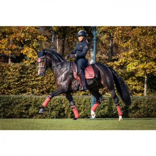 Equito Dressuur Saddlepad Cinnamon Spice