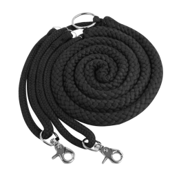 Waldhausen Lunging Aid