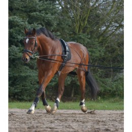 Waldhausen Lunging Support System
