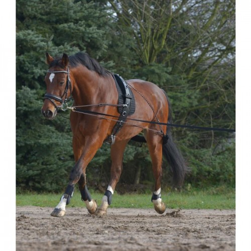 Waldhausen Lunging Support System