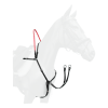 Waldhausen Secutrust Breastplate with safety reins