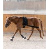 Waldhausen Lunging Band Elastic