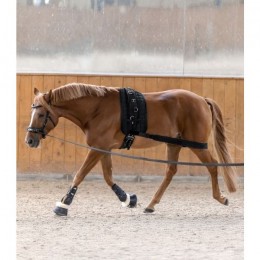 Waldhausen Lunging Band Elastic