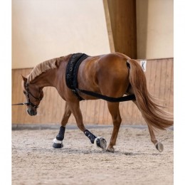 Waldhausen Lunging Band Elastic