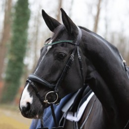 Passier Bridle Fantastic