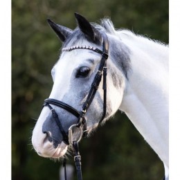 Waldhausen Bridle Happy Hearts