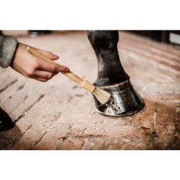 Grooming Deluxe Hoof Pencil