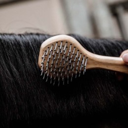 Grooming Deluxe Mane Brush