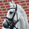 Passier Fortuna Bridle
