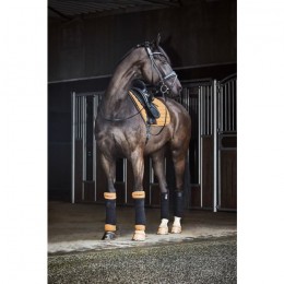 Catago FW'21 Hybrid saddlepad