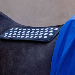 Accuhorsemat Original with acupressure mats