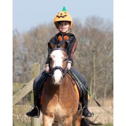 QHP Cap Cover Halloween Pumpkin