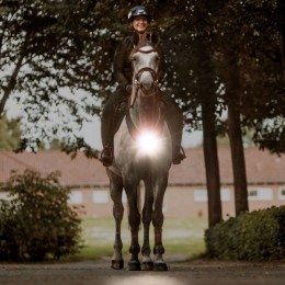 Kavalkade Breastplate Horselight Front Lamp