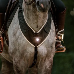 Kavalkade Breastplate Horselight Front Lamp