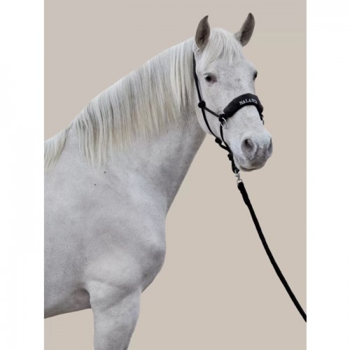 Nalanta Rope Halter