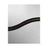 Passier Apollo Bridle