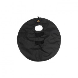 Kentucky Quarter Guard