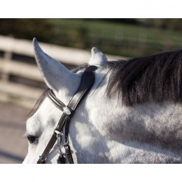 QHP Bitless Bridle Sunna