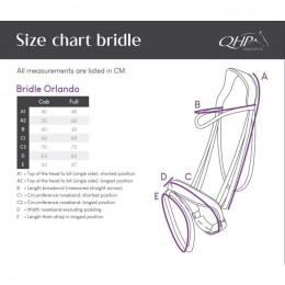 QHP Bridle Orlando