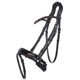 QHP Bridle Orlando