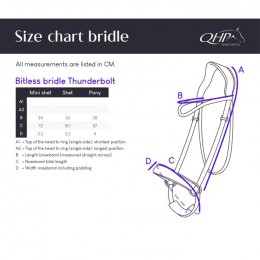 QHP Bitless Bridle Thunderbolt