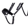 QHP Bridle Phaedra