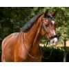 QHP Bridle Phaedra