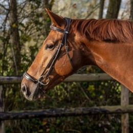 QHP Bridle Luxury Low Noseband