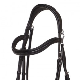 QHP Bridle  Salerno