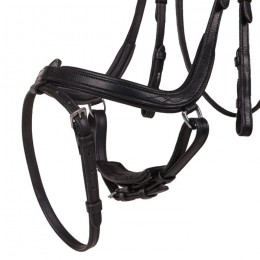 QHP Bridle  Salerno