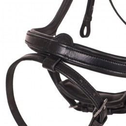 QHP Bridle  Salerno