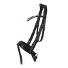 Q-essentials Bridle Sunset