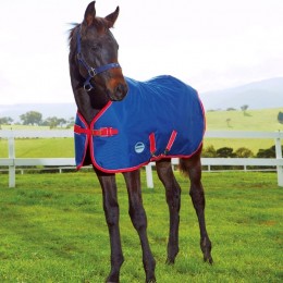 Weatherbeeta Foal Rug Standard Neck Medium II