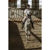 Equithème Mens Competition Shirt Edy