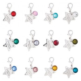 Imperial Riding SS25 Bridle Charms Silver