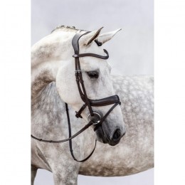 PS of Sweden Paladin anatomical bridle