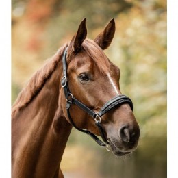 Waldhausen S-Line Leather Halter Glamour