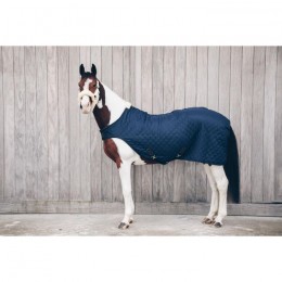 Kentucky Walker Rug