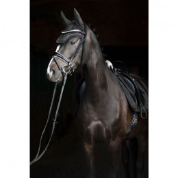 Eskadron FW'22 Essence glitter mesh earnet