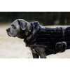Kentucky Dog Collar Soft Rubber