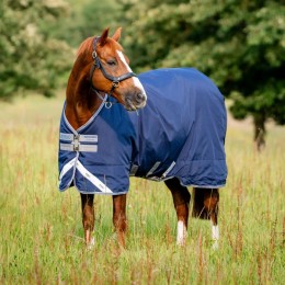 Rhino Pony Turnout