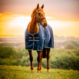 Amigo Ripstop 900D Pony Turnout