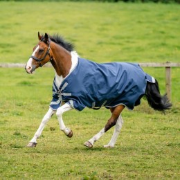Amigo Bravo 12 XL Original Turnout Medium 250g