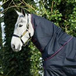 Amigo Bravo 12 XL Hood